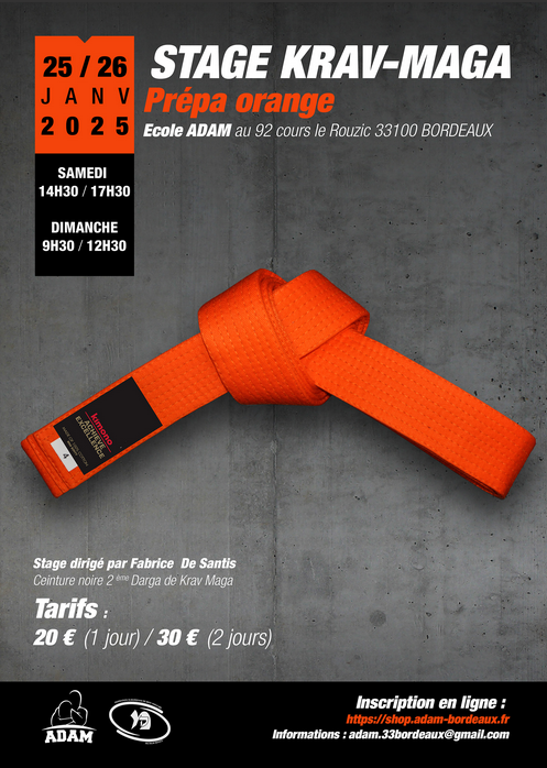 Programme ceinture orange krav maga shop