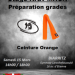 affiche stage ceinture orange mars 2025
