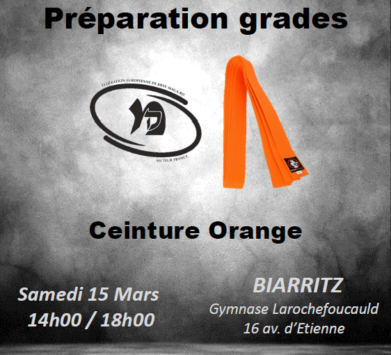 Stage de Krav Maga – Préparation à la Ceinture Orange